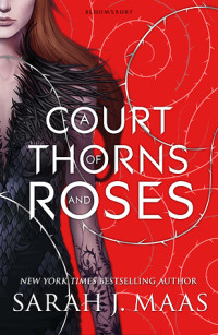the rose and the thorn by michael j sullivan the rose and the thorn by michael j sullivan