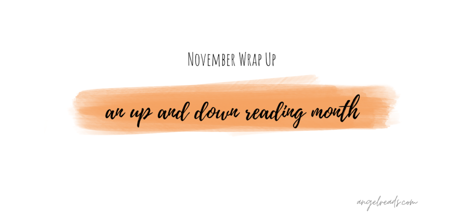 An Up and Down Month | November Wrap Up