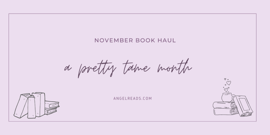 A Pretty Tame Month | November Haul